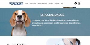 "Diseño web responsive para Veterinario en Tijuana"