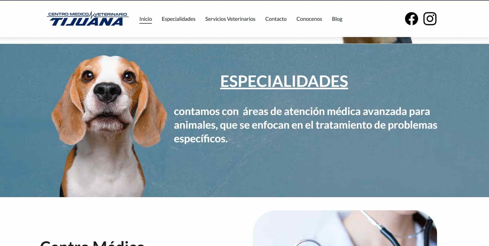"Diseño web responsive para Veterinario en Tijuana"